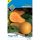 MAGYAR FAJTA SÜTŐTÖK ORANGE 1G