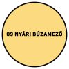 SUPRALUX SEASON SZÍNES BELTÉRI FESTÉK 2,5 L- 9 NYÁRI BÚZAMEZŐ