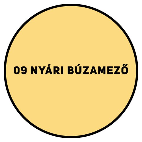 SUPRALUX SEASON SZÍNES BELTÉRI FESTÉK 2,5 L- 9 NYÁRI BÚZAMEZŐ