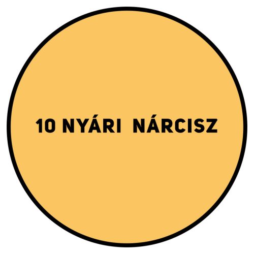 SUPRALUX SEASON SZÍNES BELTÉRI FESTÉK 5 L- 10 NYÁRI NÁRCISZ