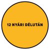 SUPRALUX SEASON SZÍNES BELTÉRI FESTÉK 2,5 L- 12 NYÁRI DÉLUTÁN