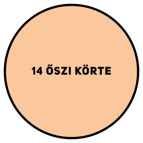 SUPRALUX SEASON SZÍNES BELTÉRI FESTÉK 2,5KG- 14 ŐSZI KÖRTE