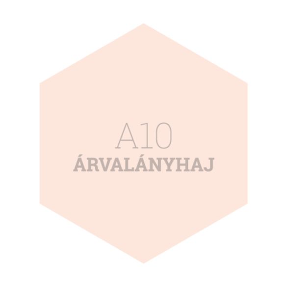 A10 ÁRVALÁNYHAJ - PLATINUM EGYRÉTEGŰ BELTÉRI FALFESTÉK POLI-FARBE - 2,5L