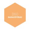 B60 BARACKVIRÁG - PLATINUM EGYRÉTEGŰ BELTÉRI FALFESTÉK POLI-FARBE - 5L