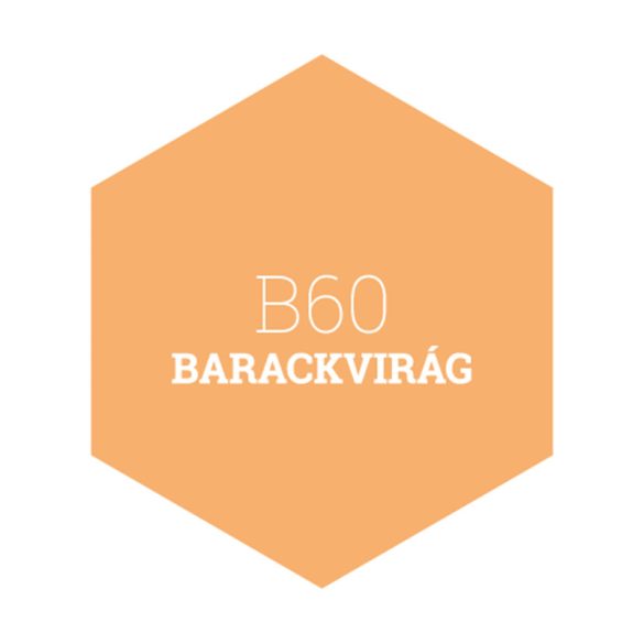 B60 BARACKVIRÁG - PLATINUM EGYRÉTEGŰ BELTÉRI FALFESTÉK POLI-FARBE - 2,5L