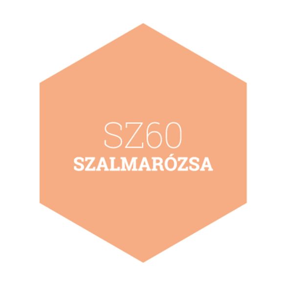 SZ60 SZALMARÓZSA - PLATINUM EGYRÉTEGŰ BELTÉRI FALFESTÉK POLI-FARBE - 2,5L