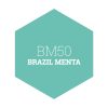 BM50 BRAZIL MENTA - PLATINUM EGYRÉTEGŰ BELTÉRI FALFESTÉK POLI-FARBE - 2,5L