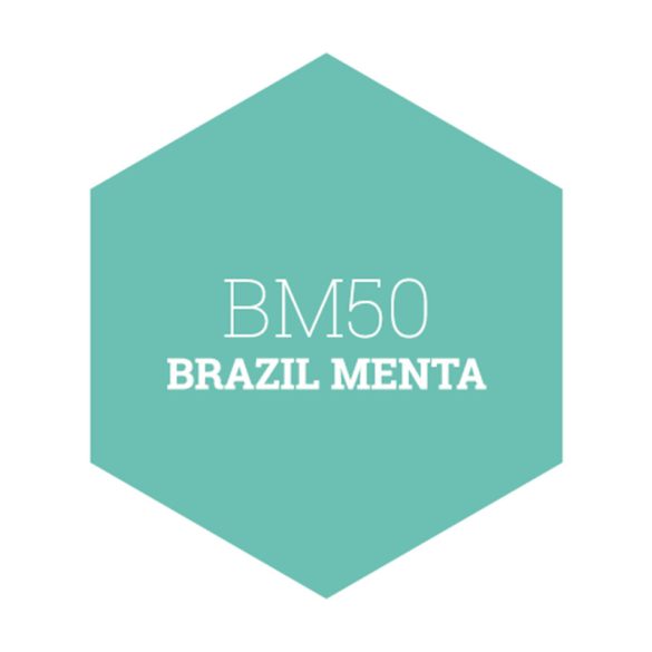 BM50 BRAZIL MENTA - PLATINUM EGYRÉTEGŰ BELTÉRI FALFESTÉK POLI-FARBE