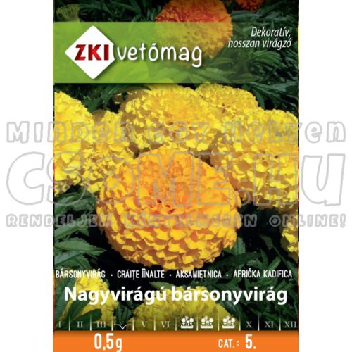 NAGYVIRÁGÚ BÁRSONYVIRÁG - VIRÁGMAG ZKI VETŐMAG - 0,5G