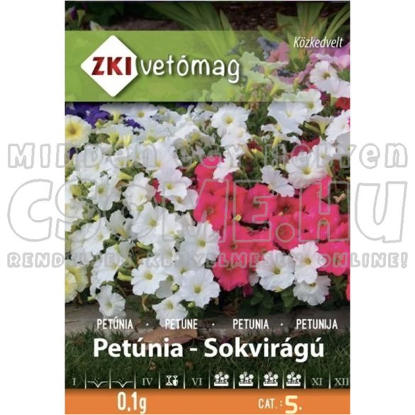 PETÚNIA- SOKVIRÁGÚ- VIRÁGMAG ZKI VETŐMAG - 0,1G