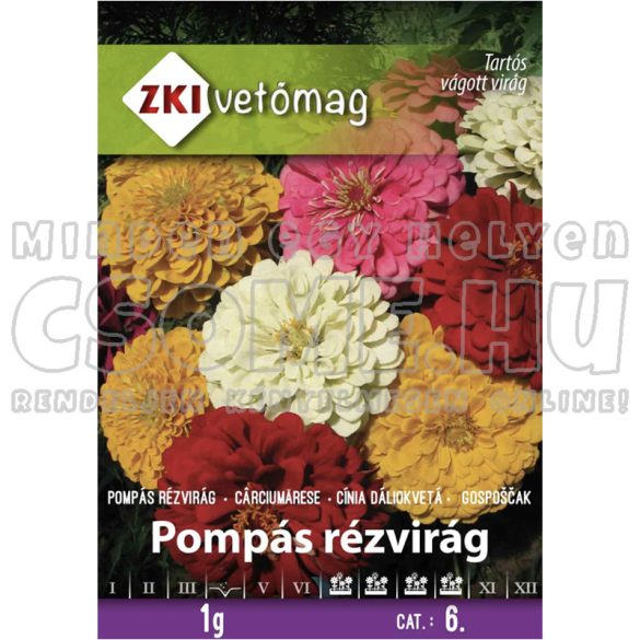 POMPÁS RÉZVIRÁG - VIRÁGMAG ZKI VETŐMAG - 1G