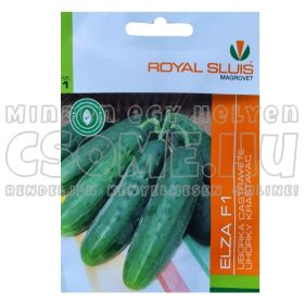 UBORKA - ELZA F1- VETŐMAG ROYAL SLUIS - 1G