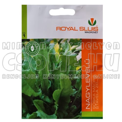 SÓSKA - NAGYLEVELŰ - VETŐMAG ROYAL SLUIS - 2G