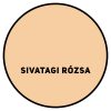 SIVATAGI RÓZSA - DULUX EASYCARE VÍZTASZÍTÓ LATEX BELTÉRI FALFESTÉK - 2,5L