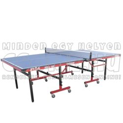 BELTÉRI PING-PONG ASZTAL - CHAMPIONSHIP - STAG