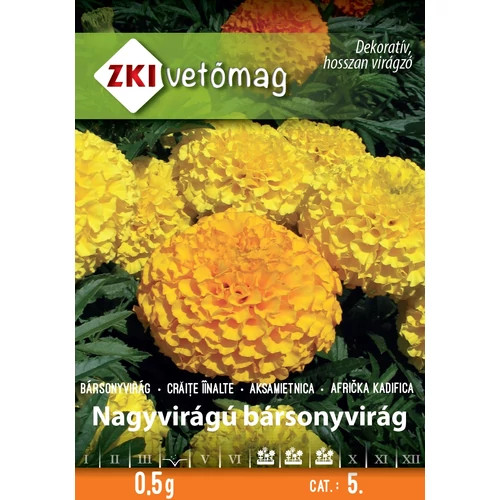 ZKI VETŐMAG NAGY VIRÁGÚ BÁRSONYVIRÁG 0,5G