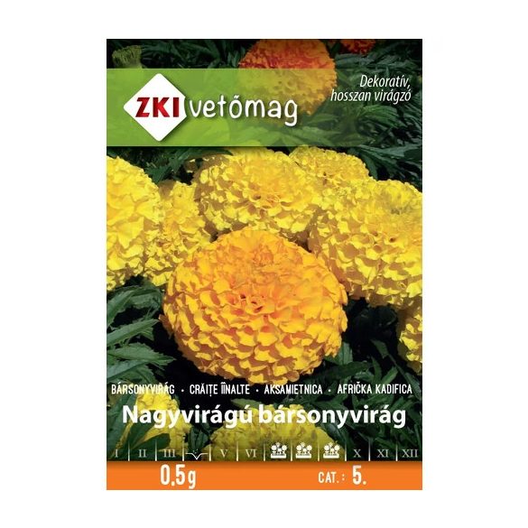 ZKI VETŐMAG NAGY VIRÁGÚ BÁRSONYVIRÁG 0,5G